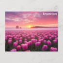 Recherche de carte amsterdam cartes postales Floral