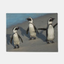 Recherche de demersus Sphenisciformes