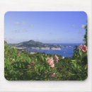 Recherche de les antilles tapis souris Croisière