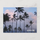 Recherche de palm beach cartes postales Sand