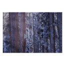 Recherche de arbre géant posters États unis