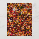 Recherche de couleurs automnales cartes postales Automne