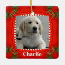 Recherche de petit chien ornements Dog