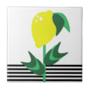 Zoek naar plant tegels Tuin