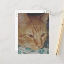 Recherche de chaton adorable cartes postales Unique