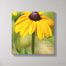 Recherche de black eyed susan Photographie