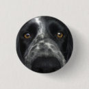 Zoek naar witte vlekken buttons Hond