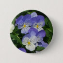 Recherche de pansement badges Floral