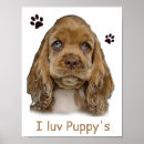 Recherche de cocker spaniel posters Animaux