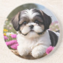 Zoek naar shih tzu onderzetters Klein