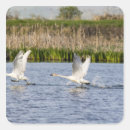 Recherche de migration autocollants Oiseau