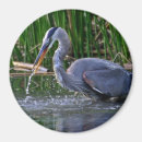 Recherche de éclaboussure magnets Oiseaux