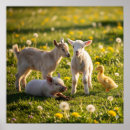 Recherche de animal de bébé posters Ferme