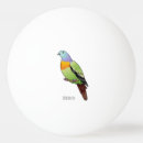 Recherche de pigeon tennis de table Oiseau