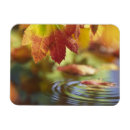 Recherche de contemplation vœux cartes Nature