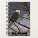Recherche de rapaces photographie Faune