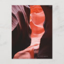 Recherche de motif naturel cartes postales Usa