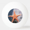 Recherche de poissons balles ping pong Nature