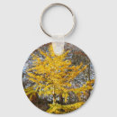 Recherche de ginkgo porteclés Arbre