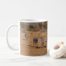Recherche de zèbres africains tasses Animaux
