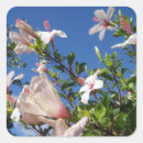 Recherche de de fleur de ketmie autocollants Fleurs