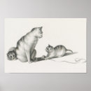 Zoek naar katten afbeeldingen posters Kittens