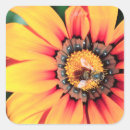 Zoek naar kwetsbaar stickers Bloem
