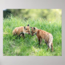 Zoek naar uitrustingen posters Natuur