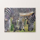 Zoek naar zebras puzzels Wilde dieren