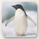 Zoek naar pinguin onderzetters Schattige dieren