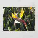 Recherche de fleur de grue posters Fleurs