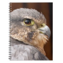 Recherche de faucon carnets Oiseau de proie