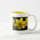 Recherche de jonquille tasses Lumineux