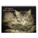 Recherche de chat noir calendriers Photographie