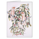 Recherche de cacatoès cartes postales Aquarelle