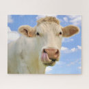 Recherche de vache puzzles Nature