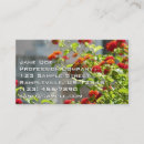 Recherche de papillon orange cartes visite Monarque