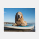 Recherche de golden retriever Plage