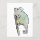 Zoek naar chameleon briefkaarten Hagedis
