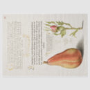 Recherche de french decoupage paper Rose