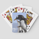 Recherche de neko jeux de cartes Antarctique