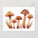 Recherche de champignons rouges cartes postales Faune