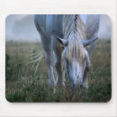 Recherche de image cheval tapis souris Image de couleur