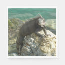 Recherche de iguane serviettes Faune