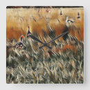 Zoek naar eenden kunst Natuur