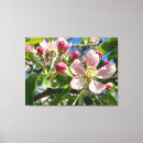 Zoek naar appelbloesem kunst Appelboom