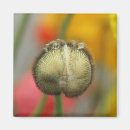 Recherche de goutte de pluie magnets Photographie