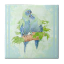 Recherche de watercolor carreaux Oiseau