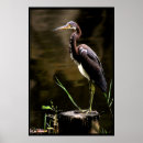 Zoek naar hérons kunst Heron