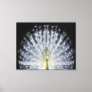 Zoek naar pauwen kunst For her